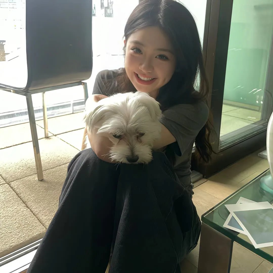 狼之谜